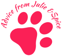 Advice from Julie and Spice