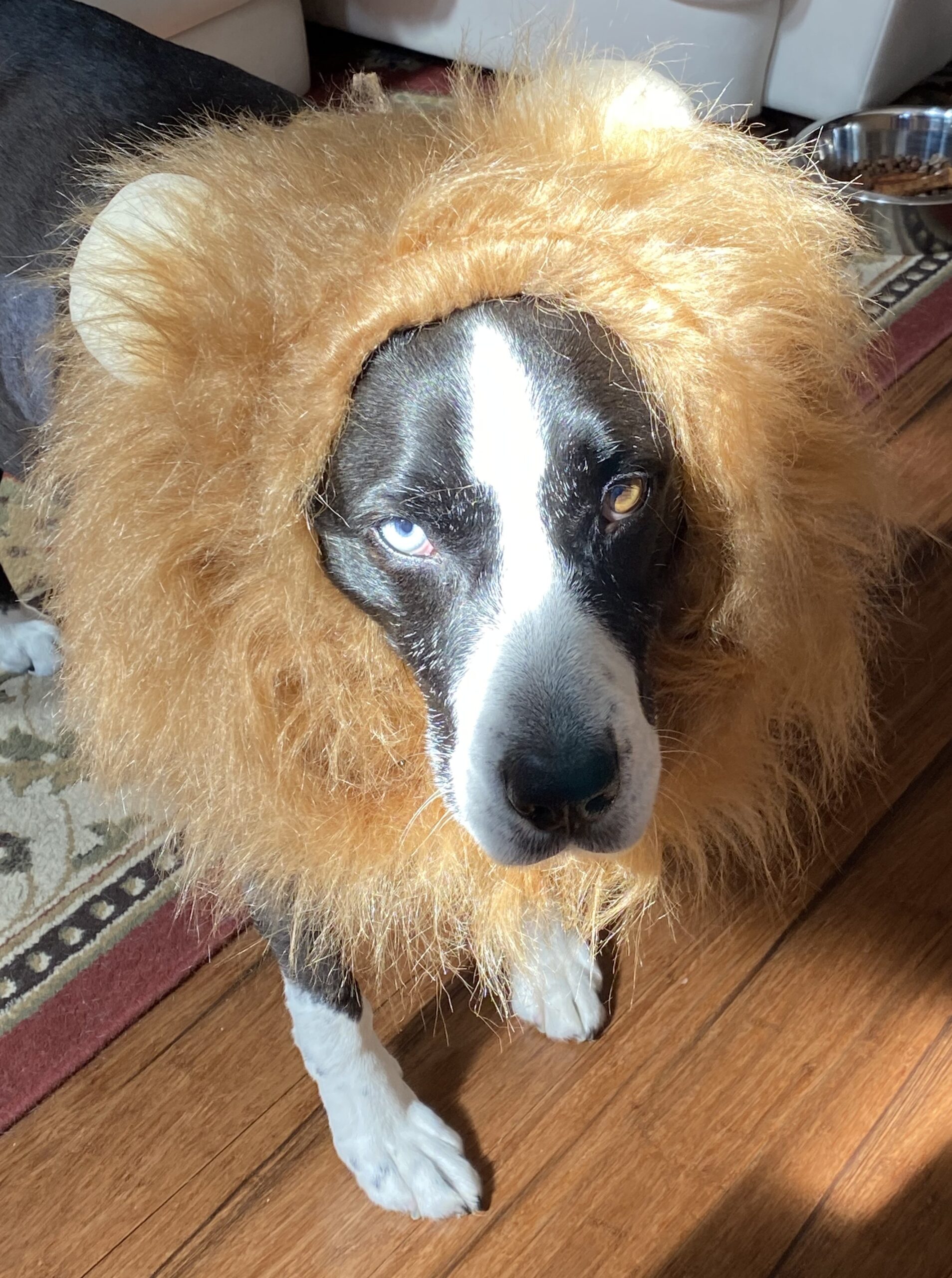 0547AF3D-D8E5-44DE-97F3-0A9D1339DB3E