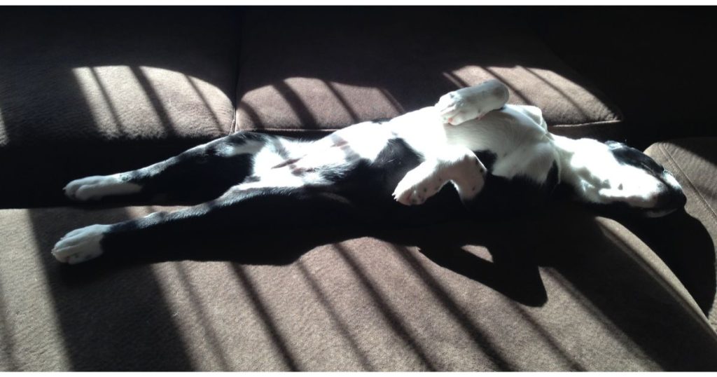 gwt your daily dose of spice and sunshine