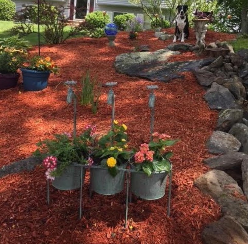 Spice sat tall and proud as the guardian and protector of our gardens.