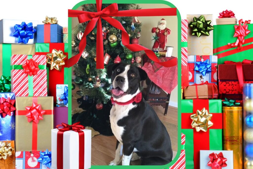 top ten free holiday gifts from the heart