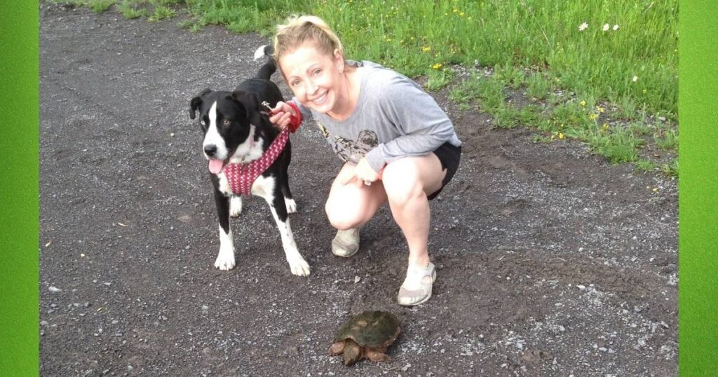 dog walking and bonding tips for spice's pawsitive impact. going on an adventure walk and finding a turtle friend with my rescue dog spice.