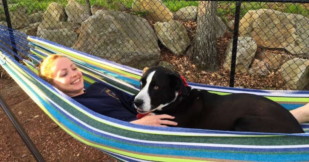 Letting go without closure and finding inner peace with a rescue dog resting peacefully in a hammock